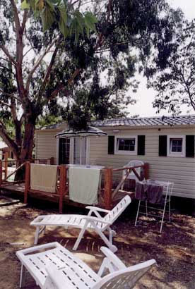 wapiti3